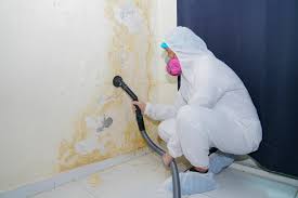 Professional Mold Removal in Lawrenceburg, TN